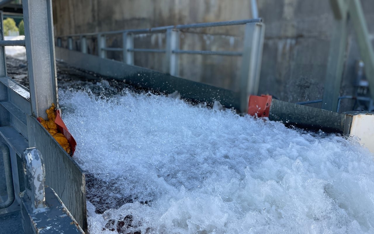 Water flowing through an opening in a concrete wall.