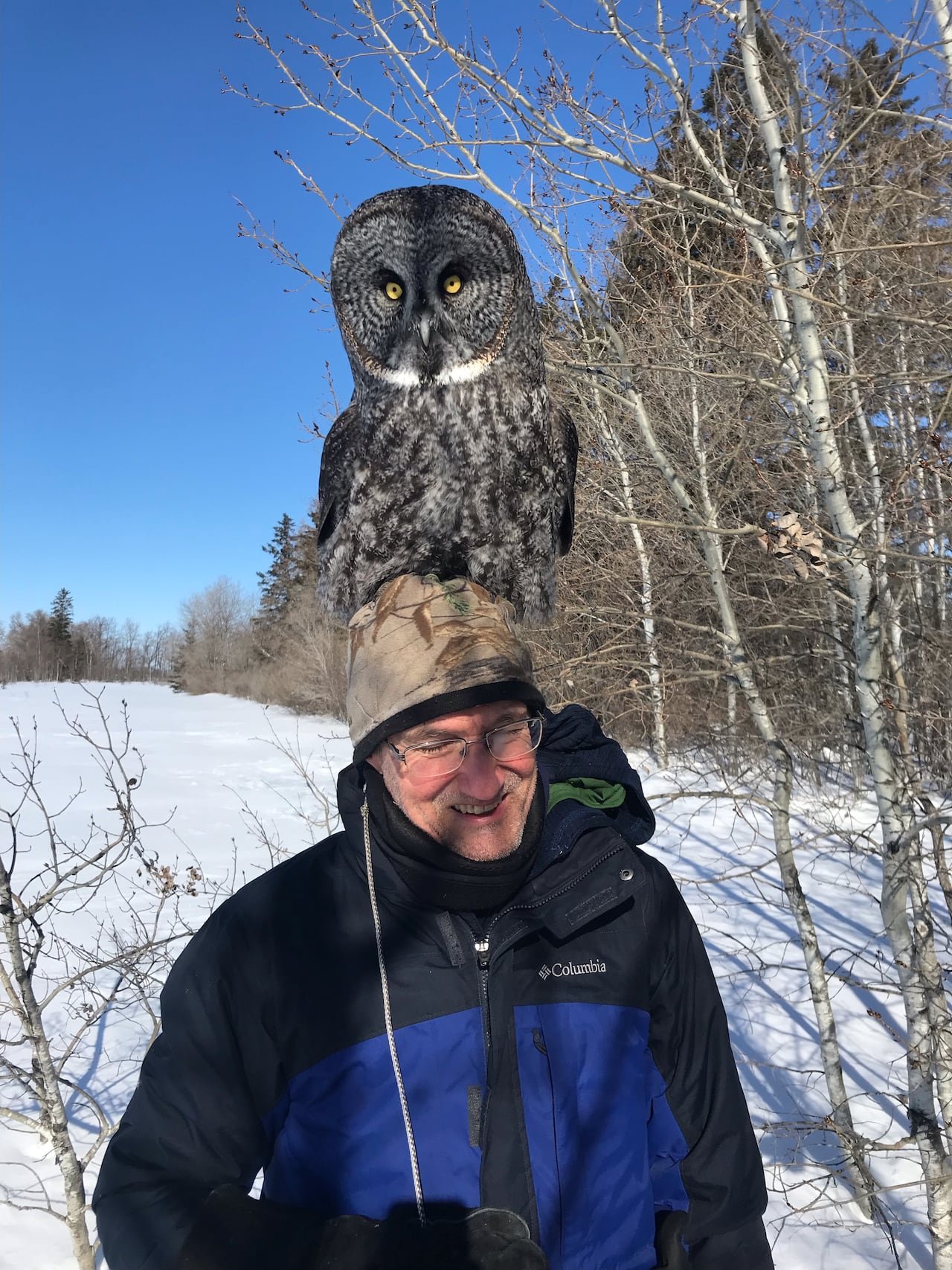 A great grey owl perched atop a man's head.