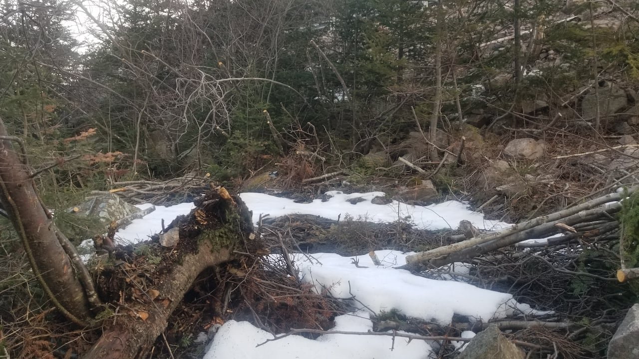 default-687 A bunch of trees crushed, partly covered in snow