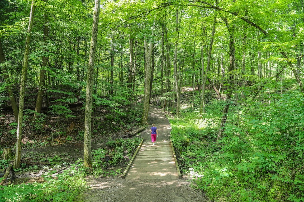 default-34 A person walks on a trail, surrounded by green trees and grass
